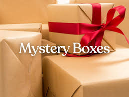 Mystery Wellness Gift