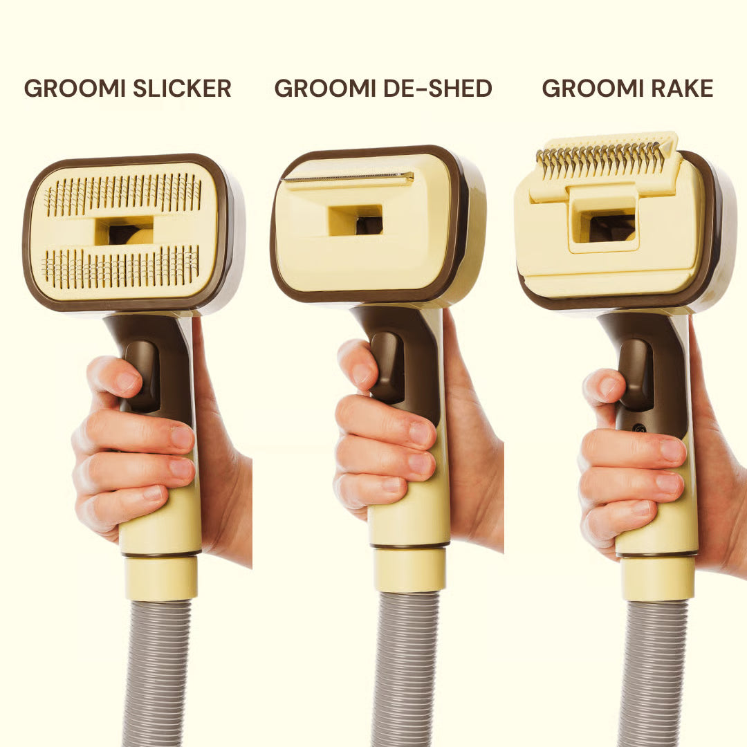 Boveli 3-In-1 Vacuum Pet Brush