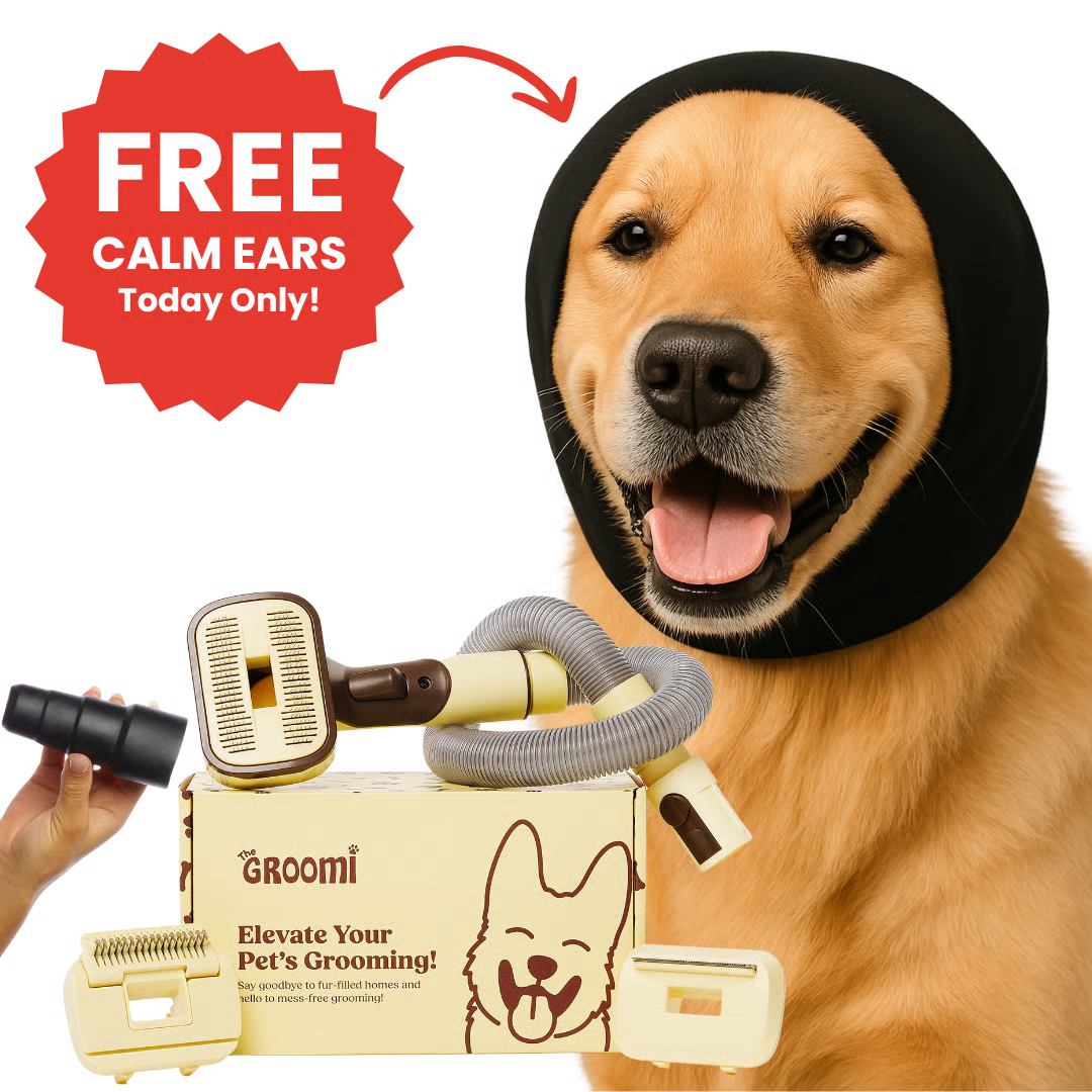 Boveli 3-In-1 Vacuum Pet Brush