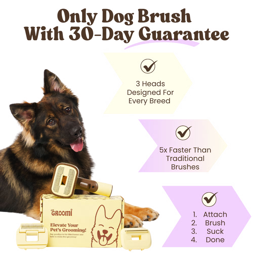 Boveli 3-In-1 Vacuum Pet Brush